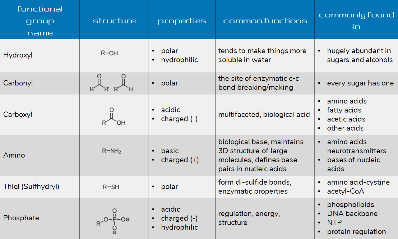 Functional Groups for Health and Bio Majors - Chemistry Help Center