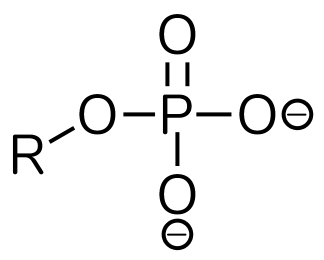 phosphate group