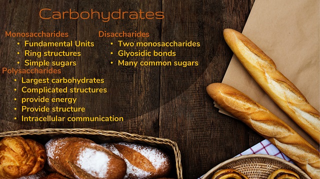 Carbohydrates