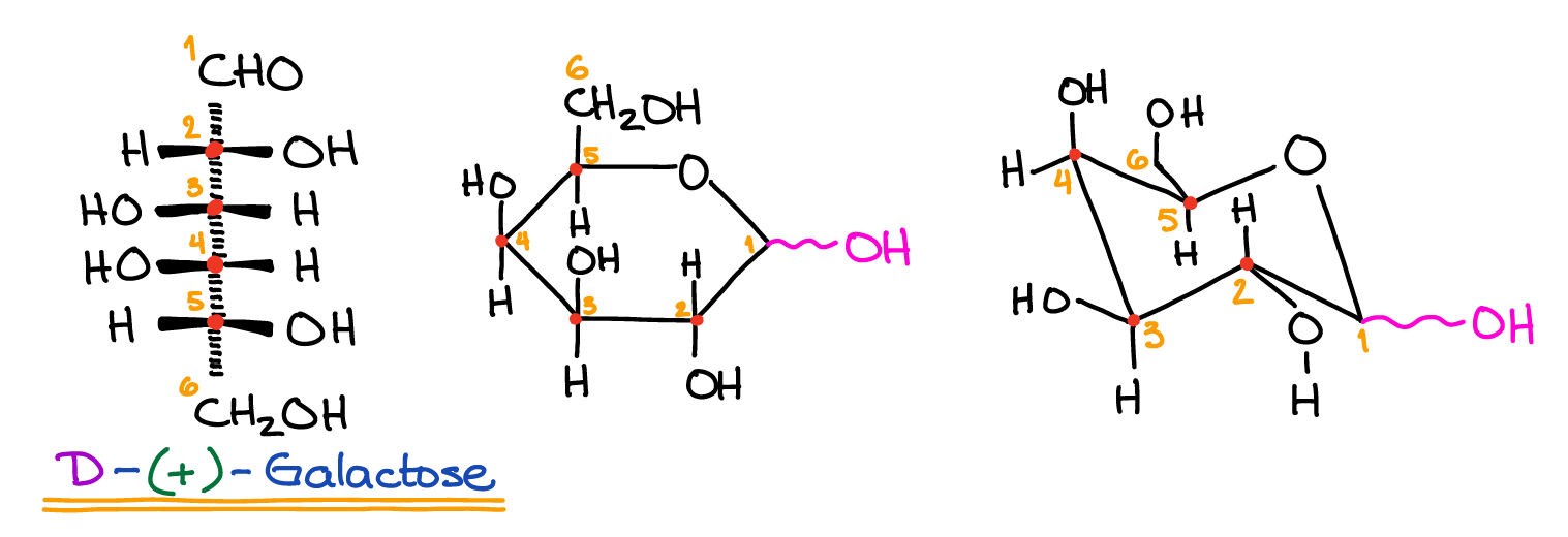 galactose