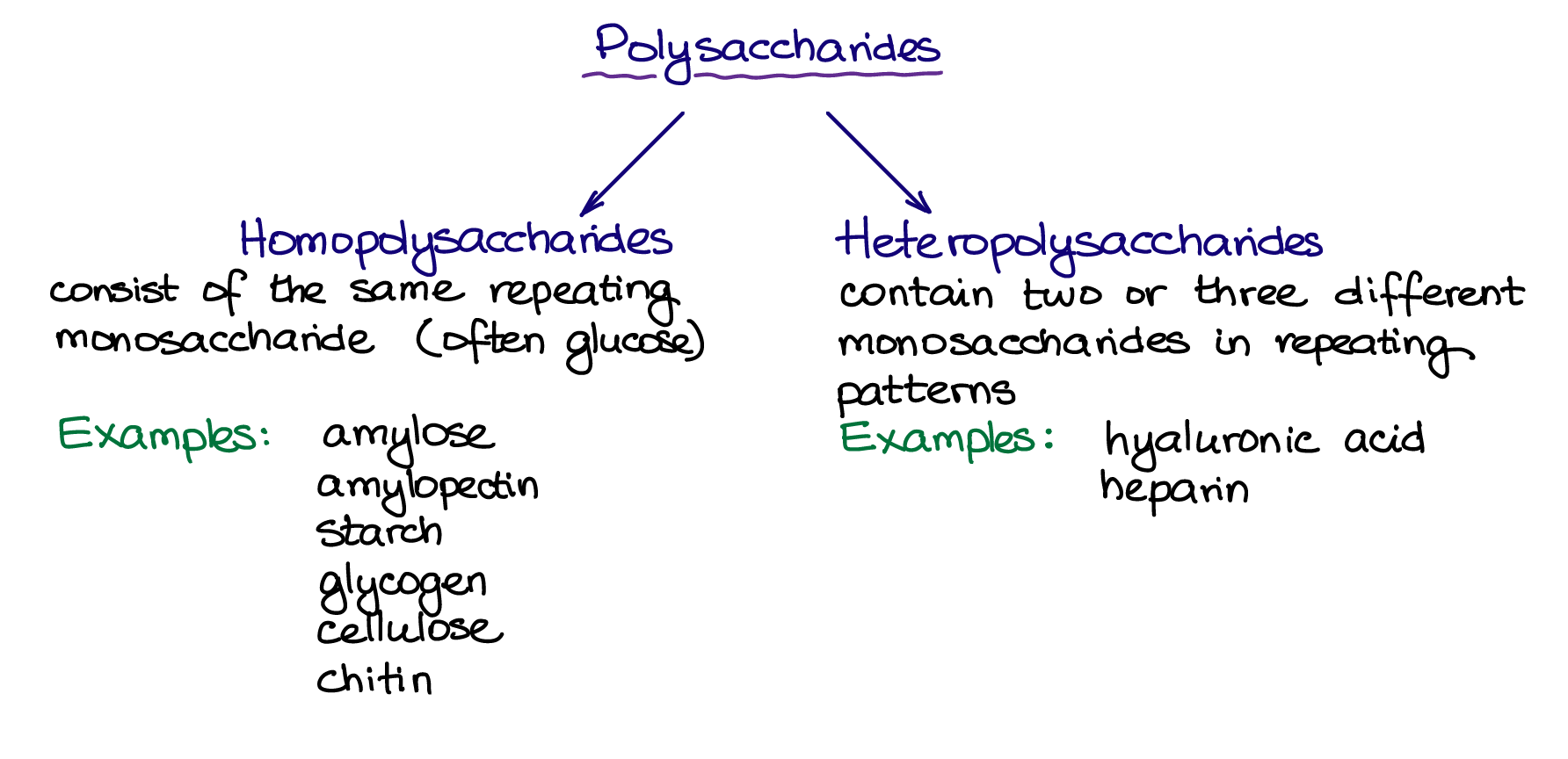 polysaccharides